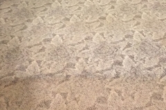 pic9